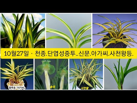 유튜브 썸네일