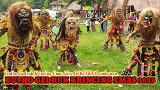 Download lagu RAMPAK BUTO GEDRUK TERBARU INDONESIA || KRINCING EMAS GEDRUK 2023 LIVE BALIBO PRAMBANAN mp3 Download lagu RAMPAK BUTO GEDRUK TERBARU INDONESIA || KRINCING EMAS GEDRUK 2023 LIVE BALIBO PRAMBANAN mp3
