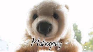 Snow Patrol - Mahogany (With Lyrics)