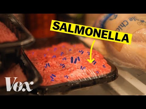 Are You Aware of The Dangers of Salmonella Poisoning?