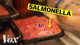 How salmonella-tainted food gets in your fridge
