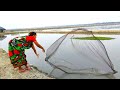 Cast Net Fishing Beautiful Village Woman Catching Fish With A Cast Net Village Extra Part 44