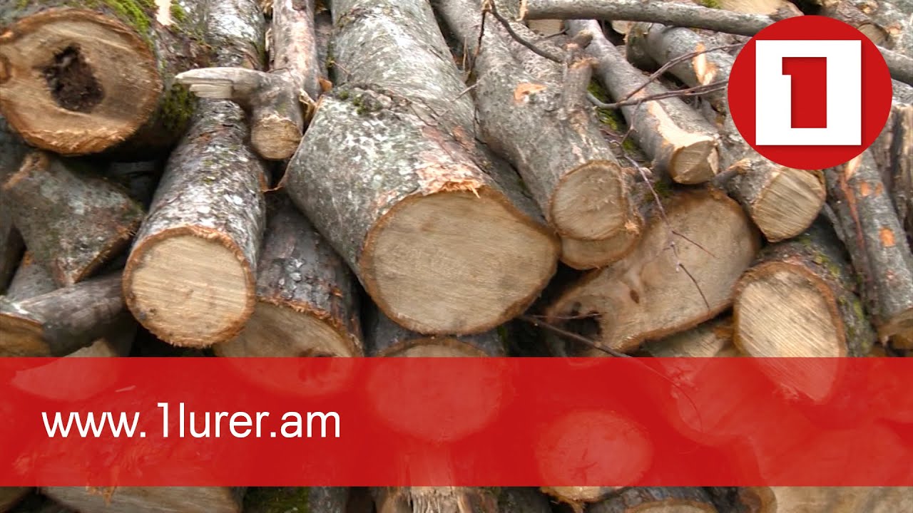 Շրջակա միջավայրի նախարարությունը շարունակում է անողոք պայքարն ապօրինի անտառահատումների դեմ