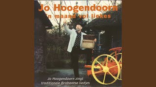 Jo Hoogendoorn - De Man Kwam Thuis video