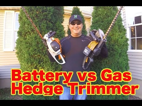 image-What is a gas hedge?