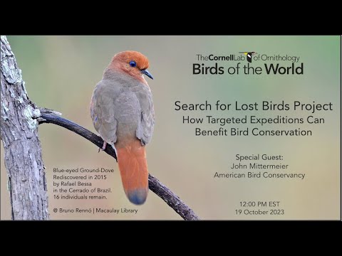 Birds of the World: Searching for Lost Birds, How Targeted Expeditions Benefit Bird Conservation