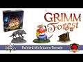 Doskové hry Druid City Games The Grimm Forest