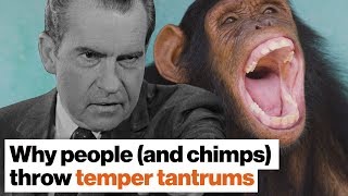 Why people (and chimps) throw temper tantrums | Frans de Waal