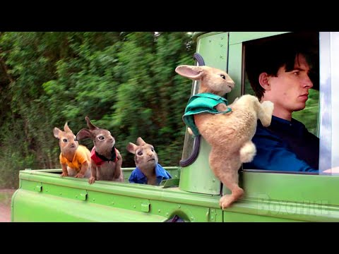 Peter Rabbit's best funny scenes ???? 4K