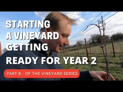 Starting a Vineyard PART8 - Getting ready for Year 2 in Spring Time