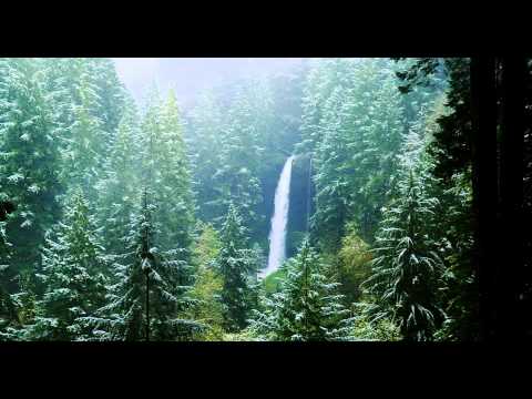 download lagu mp3 mp4 Bing Archive Images, download mp3 Bing Archive Images free download mp3, download mp3 Bing Archive Images