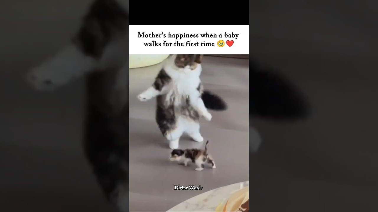 This Moment Every Mother Dreams Of 🥹🐾❤️ #mother #cutebaby #dream #happiness