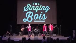 A Queer Story of the Boy Band (highlights)