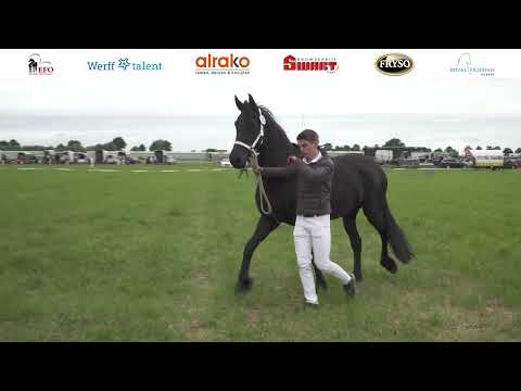 Fokdag Oosterland | 25 Juni 2022