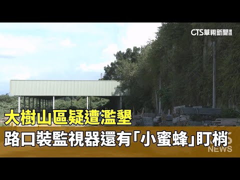 大樹山區疑遭濫墾　路口裝監視器還有「小蜜蜂」盯梢