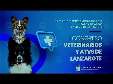 Lanzarote se vuelca con el bienestar animal