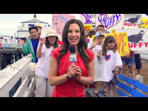 Shark Week 2013 Promo - Snuffy the Seal