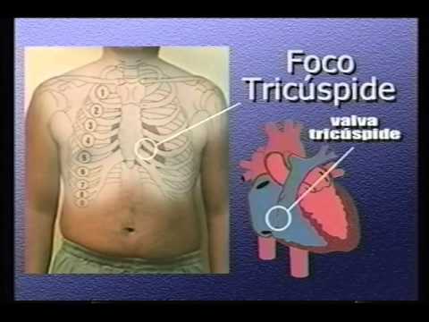 Propedêutica de Enfermagem 06 - Exame do Aparelho Cardiovascular