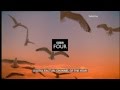 BBC FOUR Continuity 19th March 2012