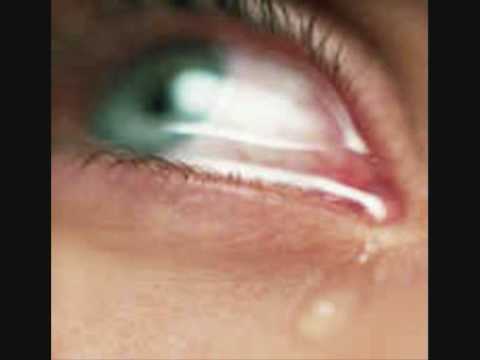 Kitazzz ir Charli - Keturiuoliktuoju Vieskeliu .