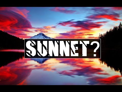 SUNNET? - Muhidin Halilović prof.ᴴᴰ┇Poziv na pravi put