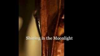 Shining in the Moonlight