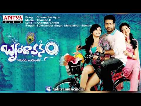 Chinnadho Vypu Full Song | Brindaavanam Movie | Jr.ntr, KajalAgarwal, Samantha
