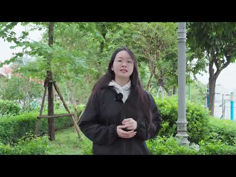 Hành Trình Của Thủy Hải Sản: Cách Chọn & Chế Biến An Toàn Từ A-Z