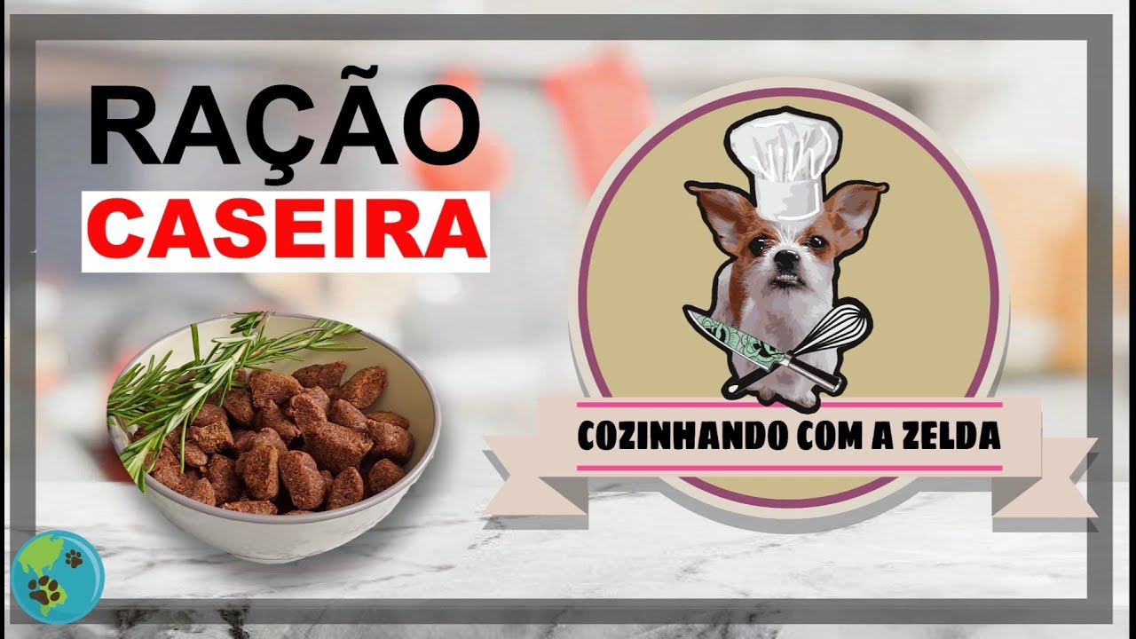 Ração  CASEIRA para Pets | Mundo de Cão e Gato
