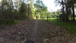 preview picture of video 'Cows with Guns, Pine Creek MTB Park - Coffs Harbour, NSW'