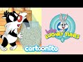 Baby Looney Tunes Sylvester Ate All The Cookies Cartoonito UK