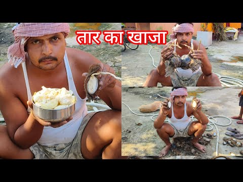 थार का ख्वाजा#tar ka khaja#chicken Raja blog