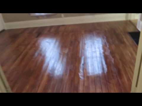 Swinney 1235 - Video 2 of 2