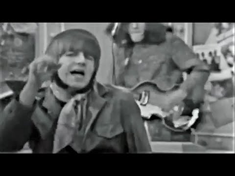 The Shadows of Knight - Shake