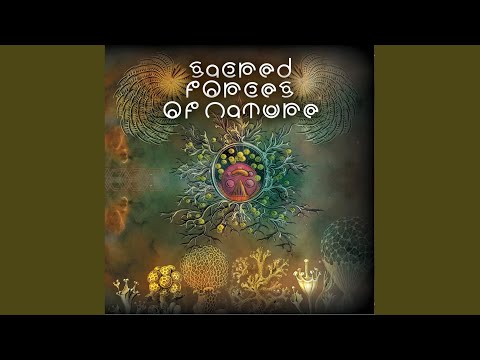 Knight Reflection (Original Mix)