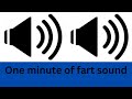 One Minute Of Fart Sound