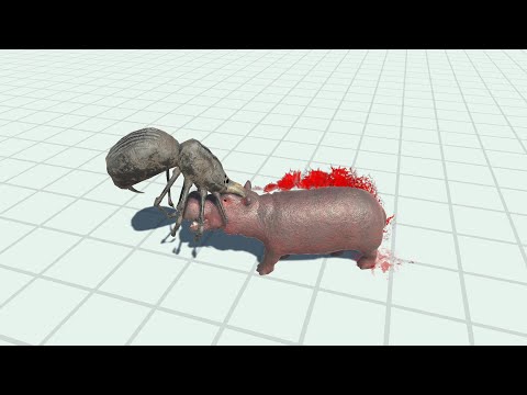 SABER TOOTHED SPIDER vs EVERY UNIT   Animal Revolt Battle Simulator
