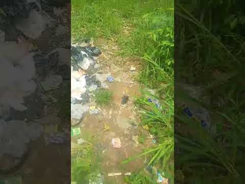 3 Plots of Dry Land at Across Community Bridge, Bucknor