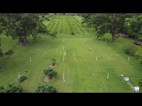 Hillcrest Farm Tour Elberta, Alabama