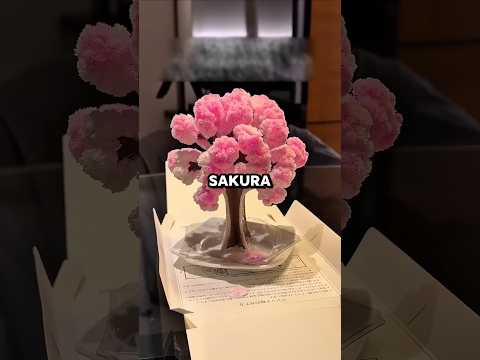 3 things in Japan that always surprise foreigners ! #shorts