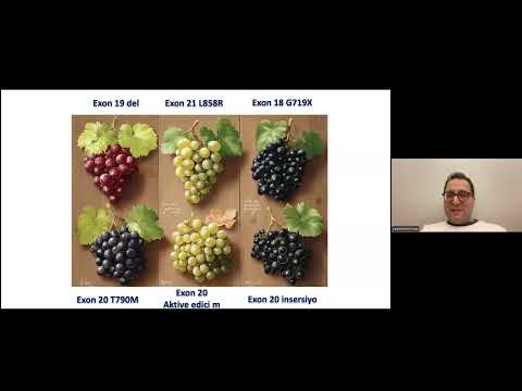 EGFR, ALK ve nonDriver mKHDAK nasıl tedavi ediyorum?