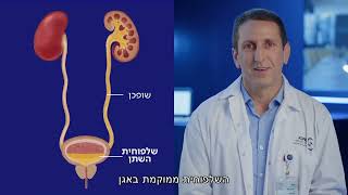 אורטרוסקופיה  ריסוק אנדוסקופי של אבנים בכליות