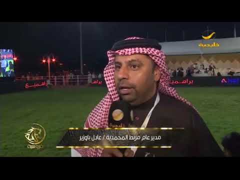 الفحل "نسج الميكاتو" بطل الأفحل في ثاني أيام بطولة مركز الملك عبد العزيز الدولية الثالثة للجمال