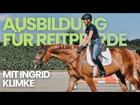 Grundausbildung für Reitpferde mit Ingrid Klimke | So legst du eine sichere & vielseitige Basis