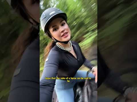 Why don't you touch the guard's horse casually#shorts