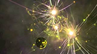 Life Of Pi 03: Pondicherry