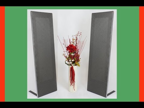 Magnepan .7 speakers rock my world