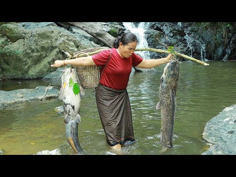 survival in the rainforest-found big murrel fish with mushroom for cook & give to pets HD