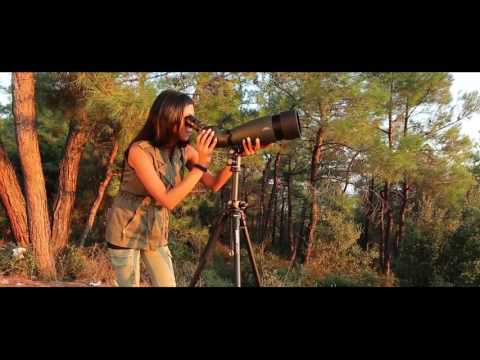 Heider Pro Zoom X5 Telescopio - ¡Póngase en contacto con la Magia de la Naturaleza!