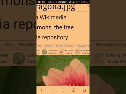 Add photos in wikipedia Article | ᱣᱤᱠᱤᱯᱤᱰᱤᱭᱟ ᱚᱱᱚᱞ ᱨᱮ ᱪᱤᱛᱟᱹᱨ ᱥᱮᱞᱮᱫᱽ ᱢᱮ